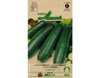 Zucchetti Frühbusch