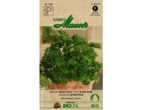 Petersilie Gr&uuml;ne Perle