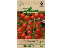Tomate Cherry
