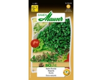 Keimsamen Rauke (Rucola)