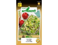 Keimsamen Radies Rota