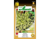 Keimsamen Mungbohnen