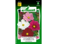 Schmuckk&ouml;rbchen Sensation Mischung