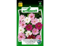 Schmuckk&ouml;rbchen niedrige Misch.