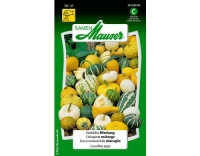 Zierk&uuml;rbis Mischung