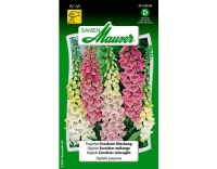 Fingerhut Excelsior Mischung