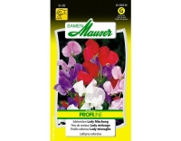 Edelwicken Lady Mischung