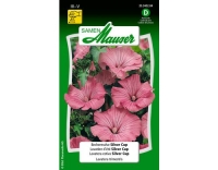 Bechermalve Silver Cup