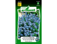 Vergissmeinnicht Blauer Ball