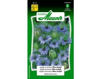 Jungfer im Gr&uuml;nen Miss Jeckyll