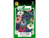 Jungfer im Gr&uuml;nen Mischung