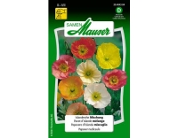 Islandmohn Mischung