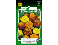 Tagetes Sparky Mischung