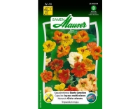 Kapuzinerkresse Bunte Juwelen