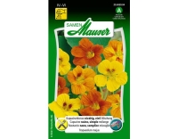 Kapuzinerkresse, niedrig, einf. Mischung