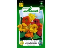 Kapuzinerkresse GlanzHybriden