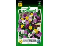 Hornveilchen Rapsody Mischung