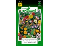 Sommerflor Mausers Galamischung