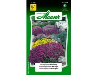 Polsterpflanzen Mischung