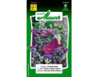 Farbgarten in Blauviolett