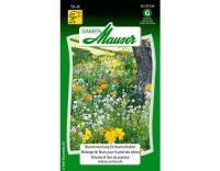 Bl&uuml;tensymphonie f&uuml;r Baumscheiben