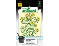 Echtes Johanniskraut