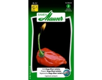 Chili Naga Bhut Jolokia