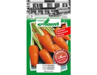 Karotte Duwicker