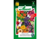 Duftgarten für Balkon