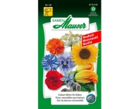 Essbarer Blueten für Balkon