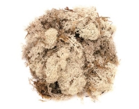 Glorex Islandmoos 50g