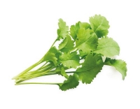 Click and Grow Kresse