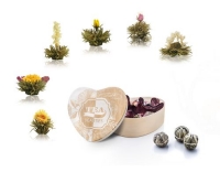 Creano Erblühtee in Herz-Holzbox