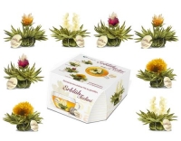 Creano Erblühteelini Weisstee 8er Set