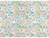 d-c-fix Designfolie 45 cm x 2 m