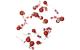 Star Trading LED Lichterkette Stern rot