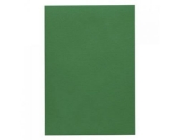 Artoz 1001 A4 100g tannengrün