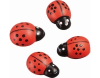 Knorr Prandell Marienkäfer