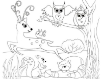 URSUS Ausmaltischset Waldtiere