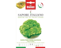 Blumen Blumenkohl Verde