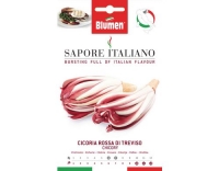 Blumen Zichorie Rossa di