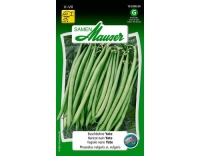 Samen Mauser Buschbohne Yate