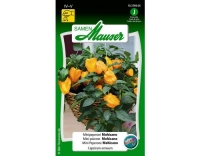 Samen Mauser Mohicano Paprika