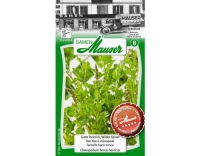 Samen Mauser Guter Heinrich, Wilder Spinat
