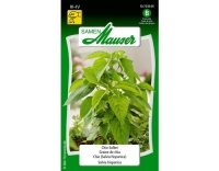 Samen Mauser Chia-Salbei