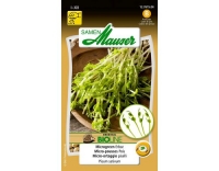 Samen Mauser BIO Microgreen Erbse