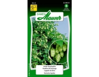Samen Mauser Echter Brauhopfen