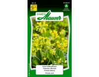 Samen Mauser Echte Schlüsselblume