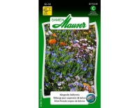 Samen Mauser Hängender Balkonmix