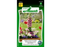 Samen Mauser Wildblumen Mix Balkon